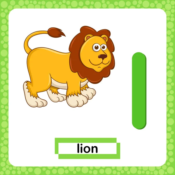 Küçük L harfi beyaz arka planda izole edilmiş şirin çizgi film karakteri Aslan. Eğlenceli renkli bir hafıza kartı hayvanat bahçesi ve hayvanlar alfabesi. İngilizce kelime ve alfabe öğrenen çocuklar için eğitim kartı