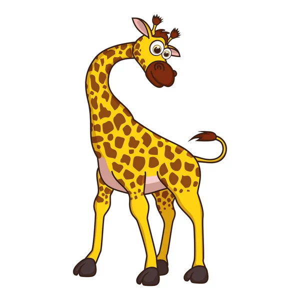 Giraffe Cute Young Giraffe Isolated White Background Zoo Animal Cartoon — Stock Vector