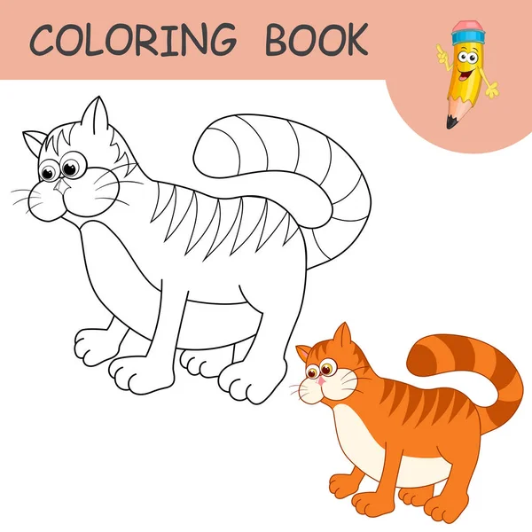 Livre Colorier Avec Personnage Amusant Cat Échantillons Incolores Colorés Kitten — Image vectorielle