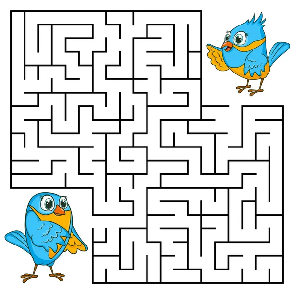 Labyrinthe Carré Pour Les Enfants Avec Des Oiseaux Dessin Animé — Image vectorielle