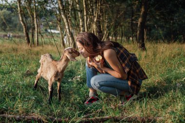 Güzel kadın çiftçi kırsalda küçük keçileri besliyor. İnsan ve hayvan arasındaki arkadaşlık kavramı.