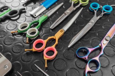 Kediler ve köpekler için bakım ve nail clipper için aksesuar