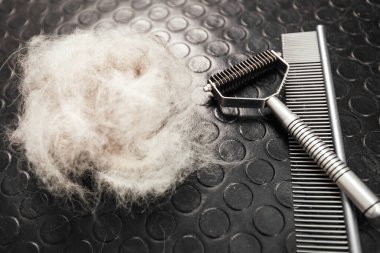 Köpek bakım araçları ve aksesuarlar siyah arkaplanda ayarlandı