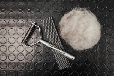 Köpek bakım araçları ve aksesuarlar siyah arkaplanda ayarlandı