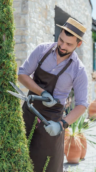 Gardeners Garden Center Gardening Floriculture — Fotografia de Stock