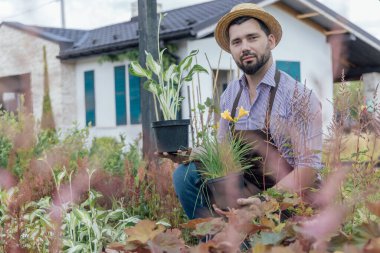 Bir bahçe merkezinde uzun ömürlü bitkiler yetiştirme ve bakımı kavramı