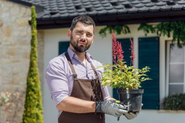 Bir bahçe merkezinde uzun ömürlü bitkiler yetiştirme ve bakımı kavramı