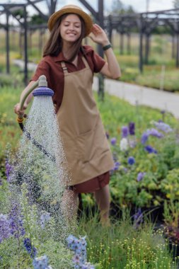 The concept of growing and caring for perennial plants in a garden center