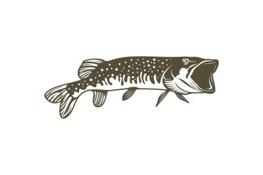 Turna balığı silueti vektör çizimi. Balıkçılık kulübü, takım ve deniz ürünleri tasarımı