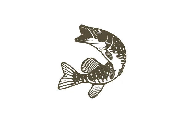 Pike Pesce Silhouette Vettoriale Illustrazione Progettazione Club Squadra Pescatori Frutti — Vettoriale Stock