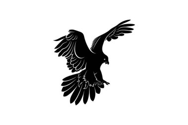 bearded vulture bird silhouette vector illustration abstract