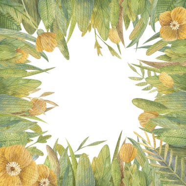 Sarı çiçekli suluboya kare çerçeve ve yeşil bitkiler ve beyaz arka planda yapraklar. Bahar ve yaz havası. Kartpostallar, davetiyeler, selamlar, selamlar ve diğer fikirler için mükemmel..