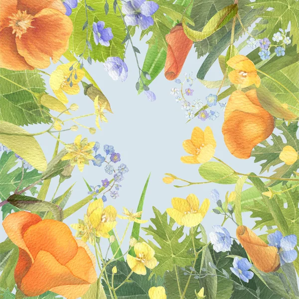 Watercolor Frame Wildflowers Leaves Herbs Warm Summer Mood Your Designs — Photo