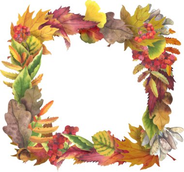 Renkli sonbahar yapraklı suluboya kare çerçeve. Ağaçlardan düşen sarı, kırmızı, turuncu ve yeşil yapraklar. Elementler el çizimi. Fikirleriniz için..