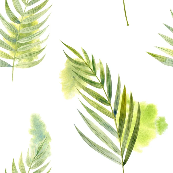 Безшовний Квітковий Візерунок Зеленим Листям Пальмової Кімнатної Рослини Кожен Предмет — стокове фото