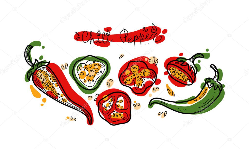 Vector spicy chili peppers doodle illustration, handwritten text, colored shapes and line isolated on white background. Design elements for decor, menu icons and stickers.
