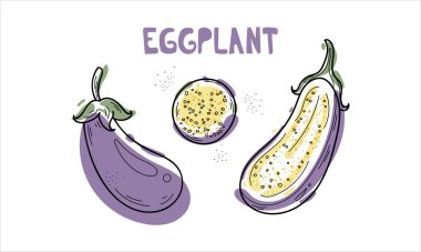 Elle çizilmiş mor patlıcan simgeleri. Broşürler, afişler, mutfak, restoran menüsü ve pazar için karalama tarzında patlıcan seti