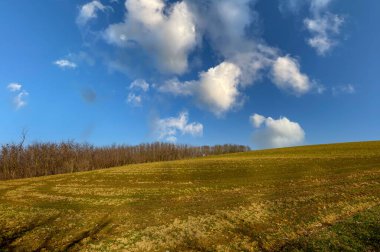 Tuna 'dan Duernstein' e uzanan üzüm bağının manzarası.