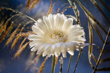 Beyaz kumaştan bir çiçek. Arka planda birkaç süs çalısı var..