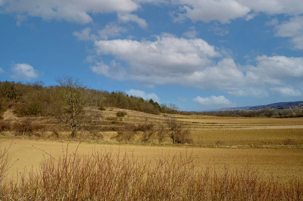 Eine Ausgedehnte Landschaft Spätwinter — Stockfoto