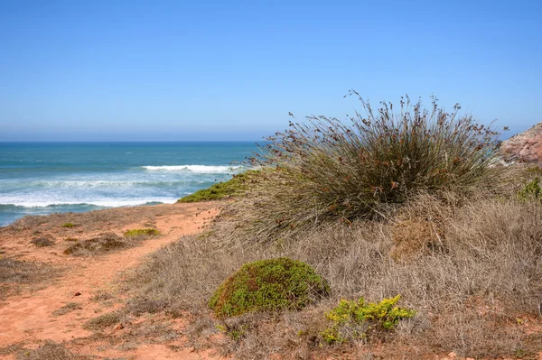 Algarve 'deki kayalıklar çorak bitkilerle dolu..
