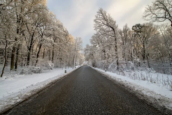 Street Vehicles People Freshly Fallen Snow — Stock Photo, Image