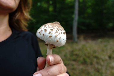 Küçük bir şemsiye bulundu ve inceleniyor..