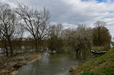 Hırvatistan 'daki Lonjsko Polje Ulusal Parkı' nda meydana gelen sel felaketinden sonra.