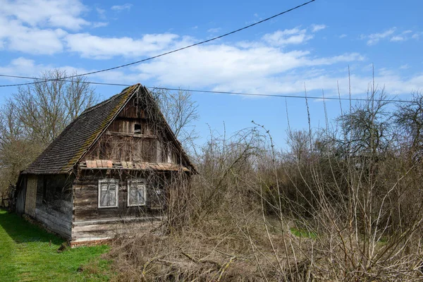 Malý Starý Již Neobydlený Dřevěný Domek Zelené Louce Množstvím Divokých — Stock fotografie