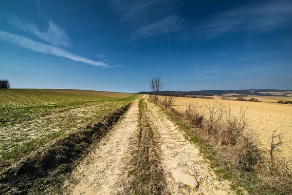 Toprak yol, hasat edilen iki tarla arasındaki ufka çıkar..