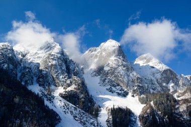 Alplerde yeni karla kaplı ormanı olan kayalık bir dağ zirvesi..