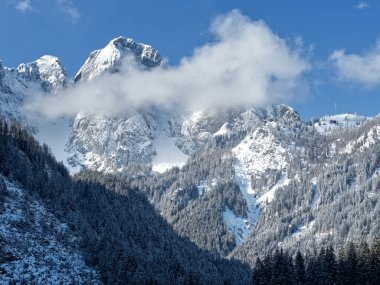 Alplerde yeni karla kaplı ormanı olan kayalık bir dağ zirvesi..