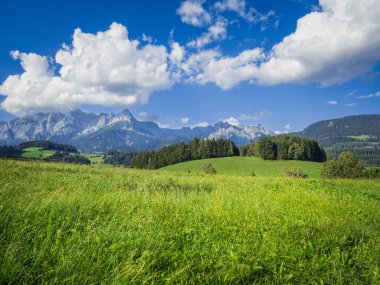 Mavi gökyüzü olan bir yaz çayırı ve arka planda geniş bir dağ sırası olan birkaç beyaz bulut..