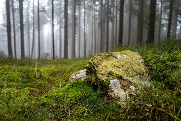 Una Roca Cubierta Musgo Exuberante Bosque Verde Brumoso — Foto de Stock