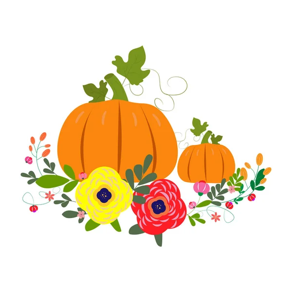 Bahçeden olgun sonbahar balkabakları 