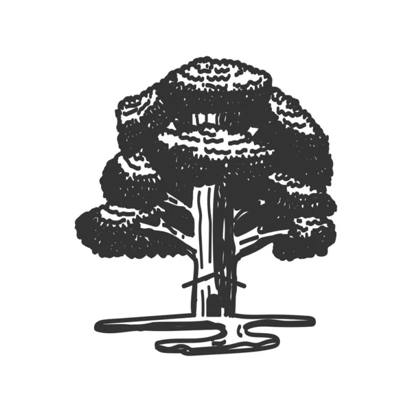 Oak Tree Root Home Icon Illustration Brand Identity — Vetor de Stock