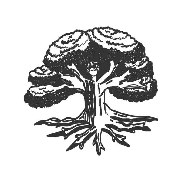 Chêne Arbre Femme Icône Illustration Marque Identité — Image vectorielle