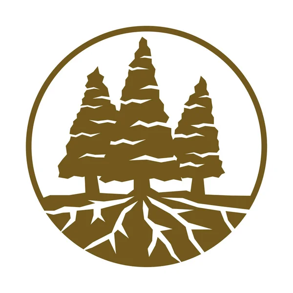 Árvore Cedro Pinho Com Logotipo Raízes Icon Ilustração Marca Identidade —  Vetores de Stock
