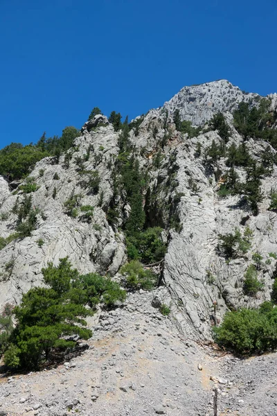 Άποψη Των Βουνών Βράχων Του Πράσινου Φαραγγιού Τοπίο Του Πράσινου — Φωτογραφία Αρχείου