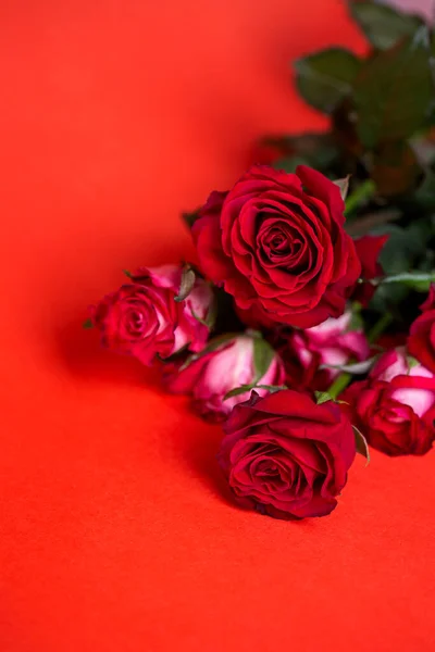 Ramo Flores Sobre Fondo Rojo Rosas Rojas — Foto de Stock