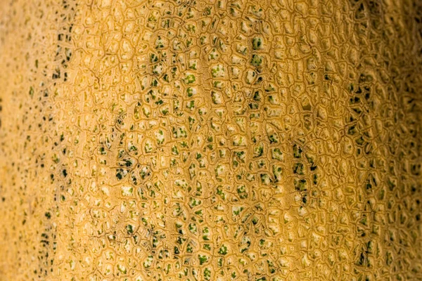 Close Skin Cantaloupe Melon Background Texture — Stock Photo, Image
