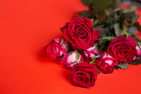 Ramo Flores Rosas Rosadas Sobre Fondo Rojo — Foto de Stock