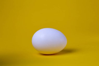 Sarı arka planda tavuk yumurtası