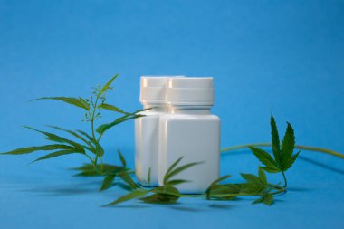 Mavi arka planda iki beyaz kavanoz ve kenevir yaprağı.