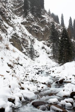 Karlı havada güzel kış manzarası.