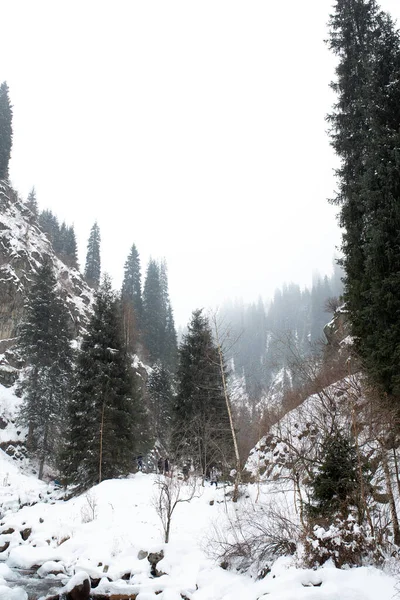 Prachtig Winterlandschap Bij Besneeuwd Weer — Stockfoto