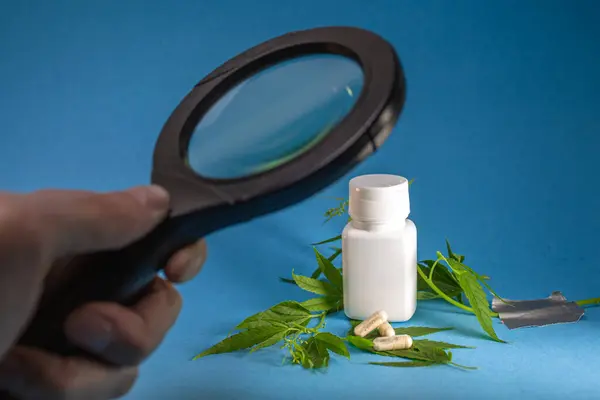 확대경 밑에서 마리화나를 재배하는 — 스톡 사진