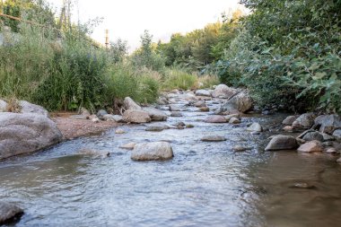 Bir dağ nehri ağaçların arasında kayaların üzerinden akıyor..