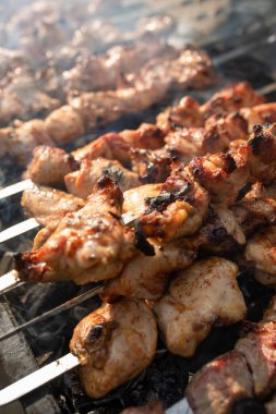 Tavuk şiş kebap doğada ızgarada kızarır..