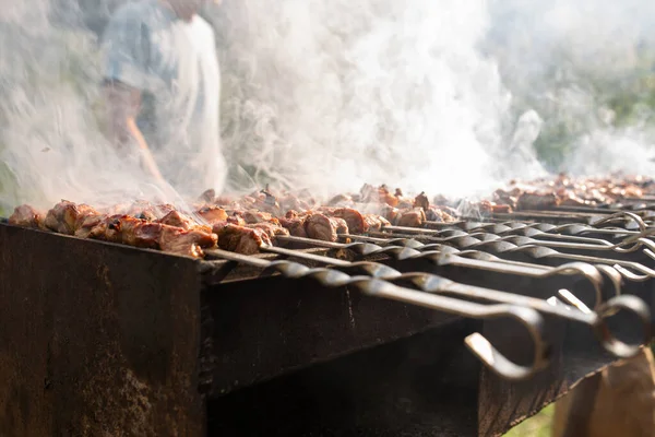 Meat Kebab Cooked Skewers Grill — Zdjęcie stockowe